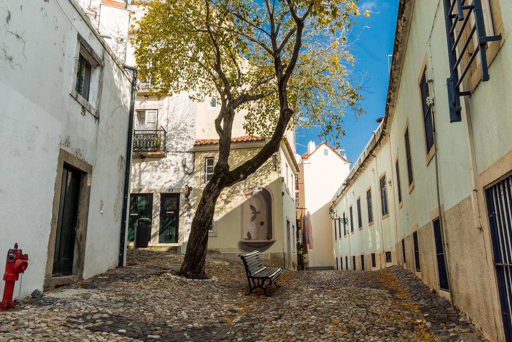 Little Duplex In Alfama Apartment Lisboa Екстериор снимка